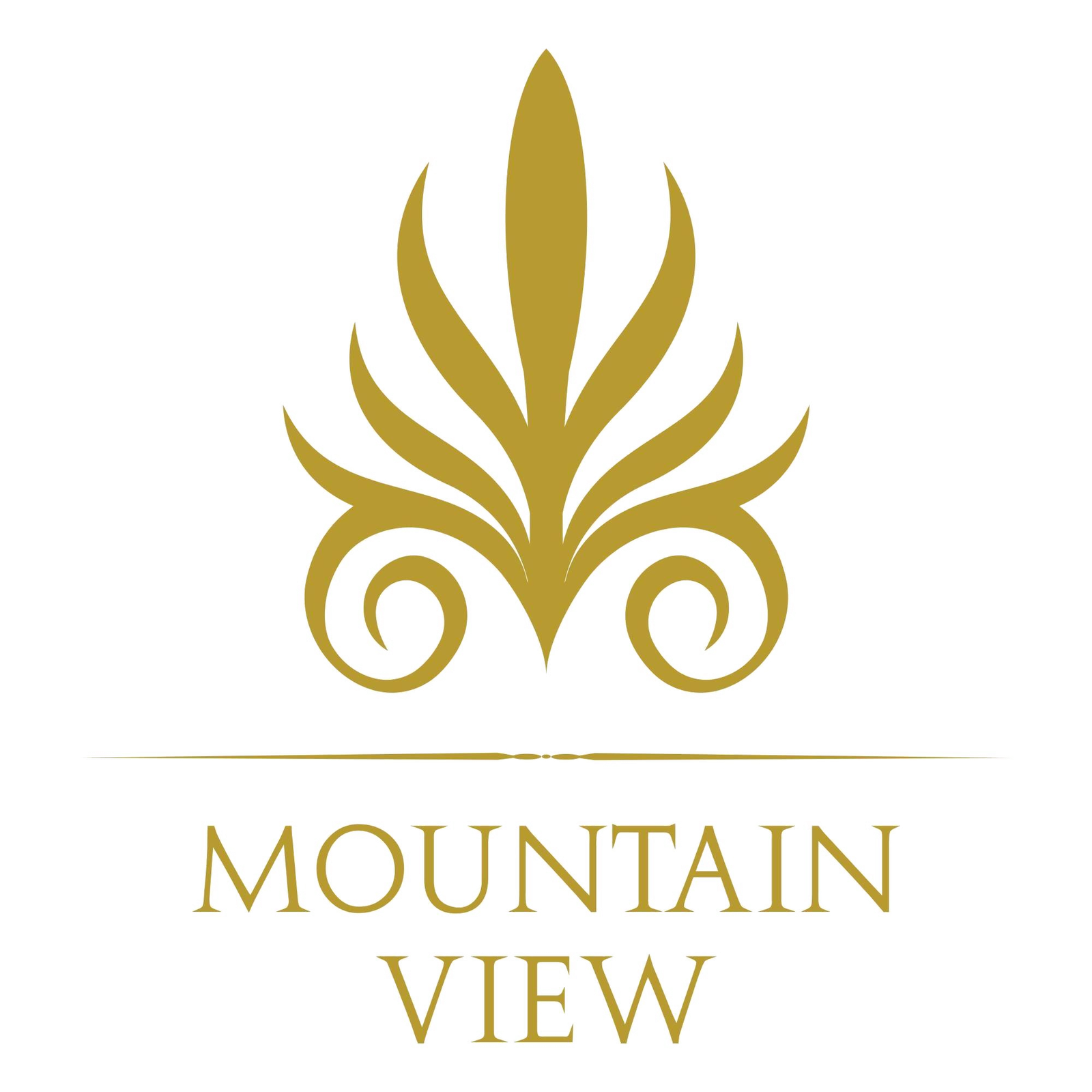 Home mountain view
